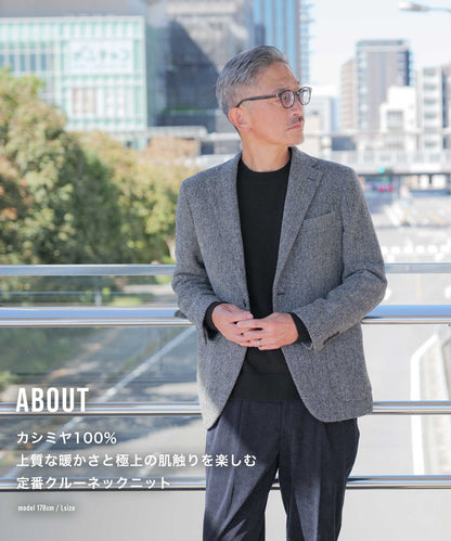シティ クルーネック カシミヤセーター(TAION-100CMNDCI)