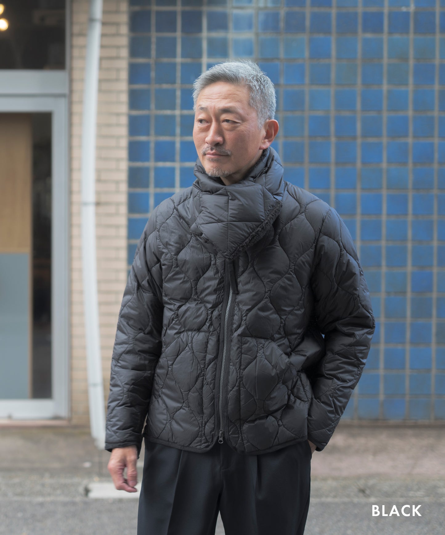 [TAION]ダウンジャケットVネックユニセックス（TAION-101ALSZML-1)