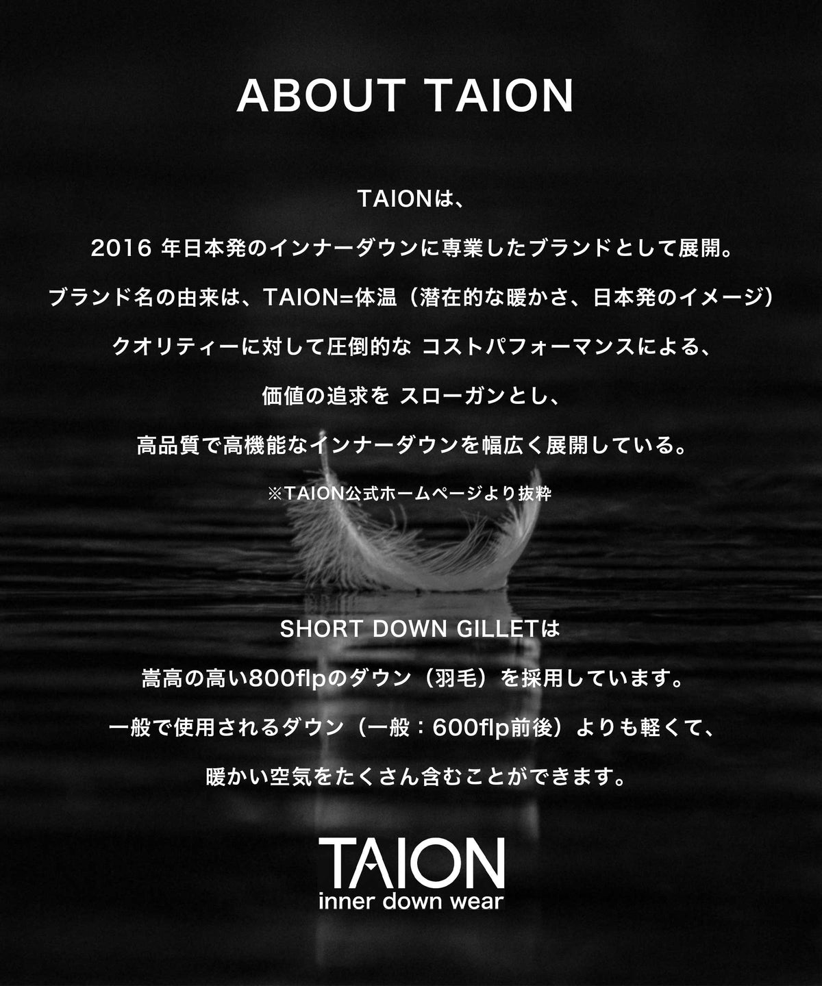 シティ シングル ダウンジレ（TAION-W003CI-SHORT)